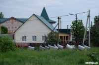 В Плеханово начали сносить дома в цыганском таборе, Фото: 25