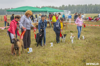 Международная выставка собак, Барсучок. 5.09.2015, Фото: 41