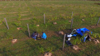 Виноград с южных склонов Дубны: как работает необычная семейная ферма в Тульской области, Фото: 32