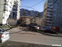 Поваленное дерево на ул.Октябрьской, Фото: 3
