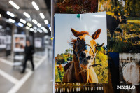 Фестиваль «Молодая фотография» в Туле: какой кадр станет шедевром?, Фото: 205