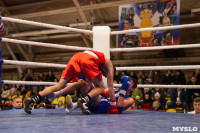 Турнир по боксу «Гран-при Тулы», Фото: 81