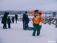 Зимние развлечения в Некрасово, Фото: 99