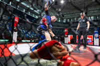 В «Тула-Арене» состоялись областные соревнования по ММА, Фото: 30