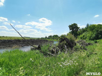 В этом году в Тульской области начали расчистку русел еще трех рек, Фото: 12