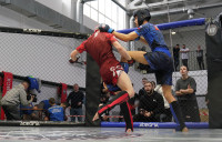 В Новомосковске прошел Чемпионат и Первенство Тульской области по ММА, Фото: 175