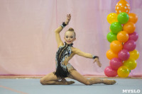 Соревнования по художественной гимнастике "Тульский сувенир", Фото: 66