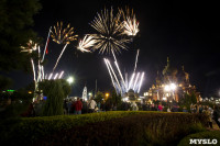 Фейерверк на День города в Туле, Фото: 2