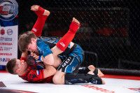 В «Тула-Арене» состоялись областные соревнования по ММА, Фото: 134