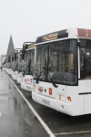 Новые низкопольные автобусы, Фото: 3