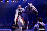 Цирковое шоу Жар птица, Фото: 114