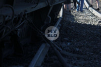 В Тульской области грузовой поезд сошел с рельсов, Фото: 4