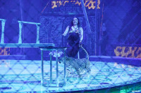 Шоу Гии Эрадзе «5 континентов» в Тульском цирке: феерия уже началась!, Фото: 71