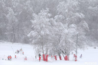 Соревнования по горнолыжному спорту в Малахово, Фото: 33