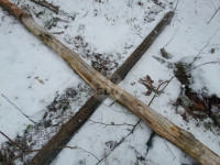 В Тульском лесу нашли загадочную поляну с крестами, елкой и зеркалами, Фото: 9
