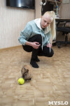 Юная дрессировщица из Тулы научила кролика 20 командам и попала в Книгу рекордов России, Фото: 8