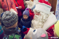 В Туле открылась резиденция Деда Мороза, Фото: 31