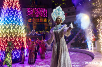 Цирковое шоу Жар птица, Фото: 151