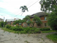 Ураган в Плавске, Фото: 9
