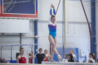 Всероссийские соревнования по спортивной гимнастике, Фото: 93