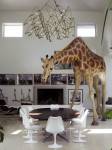 , Фото: 1