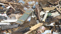 Поселок Славный в Тульской области зарастает мусором, Фото: 12