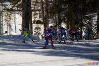 Состязания лыжников в Сочи., Фото: 46