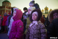 В Тульском кремле открылась новогодняя елка, Фото: 58