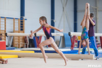 Тульские гимнастки готовятся к первенству России, Фото: 9