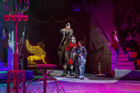 "Чудеса под Новый год" в Тульском цирке, Фото: 51
