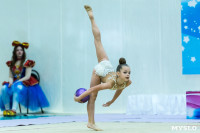 Тула провела крупный турнир по художественной гимнастике, Фото: 160