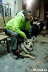 В Туле прошла Всероссийская выставка собак, Фото: 57