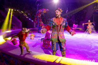 Цирковое шоу Жар птица, Фото: 134