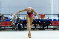 Художественная гимнастика, Фото: 88
