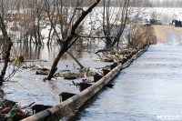 В Щекинском районе затопило мост, Фото: 21