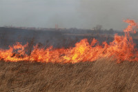 Возгорание сухой травы напротив ТЦ "Метро", 7.04.2014, Фото: 31