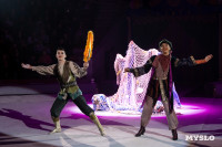 Цирковое шоу Жар птица, Фото: 122