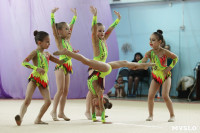 Соревнования «Первые шаги в художественной гимнастике», Фото: 69