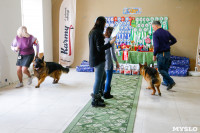 Выставка собак в Туле, Фото: 37