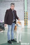 Выставка собак в Туле 26.01, Фото: 58