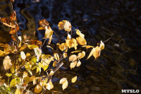 Золотая осень в Ясной Поляне, Фото: 76
