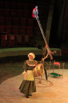 Цирк «Вива, Зорро!» в Туле , Фото: 58
