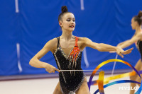 В Туле стартовало первенство Центрального федерального округа по художественной гимнастике, Фото: 73