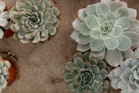 , Фото: 4