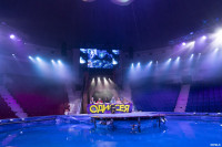 В Тулу приехал цирковой мюзикл на воде «Одиссея», Фото: 13
