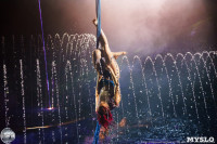 Цирк на воде «Остров сокровищ» в Туле: Здесь невозможное становится возможным, Фото: 117