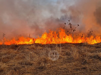 В Федоровке огонь с горящего поля едва не перекинулся на дома, Фото: 10