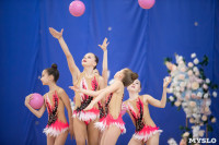 Соревнования по художественной гимнастике на призы благотворительного фонда «Земляки», Фото: 61