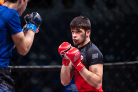 В «Тула-Арене» состоялись областные соревнования по ММА, Фото: 94