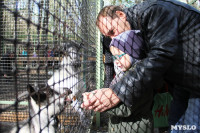 В Новомосковске открылся мини-зоопарк, Фото: 23